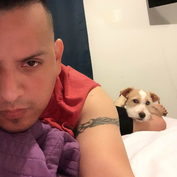 Meet your Posher, Julio - Picture 1 of 1